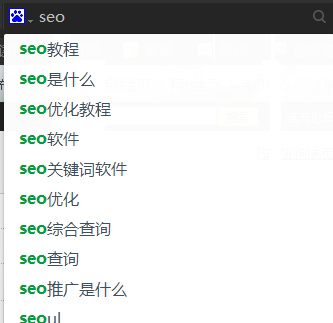 在搜索框输入seo后出现下拉框截图